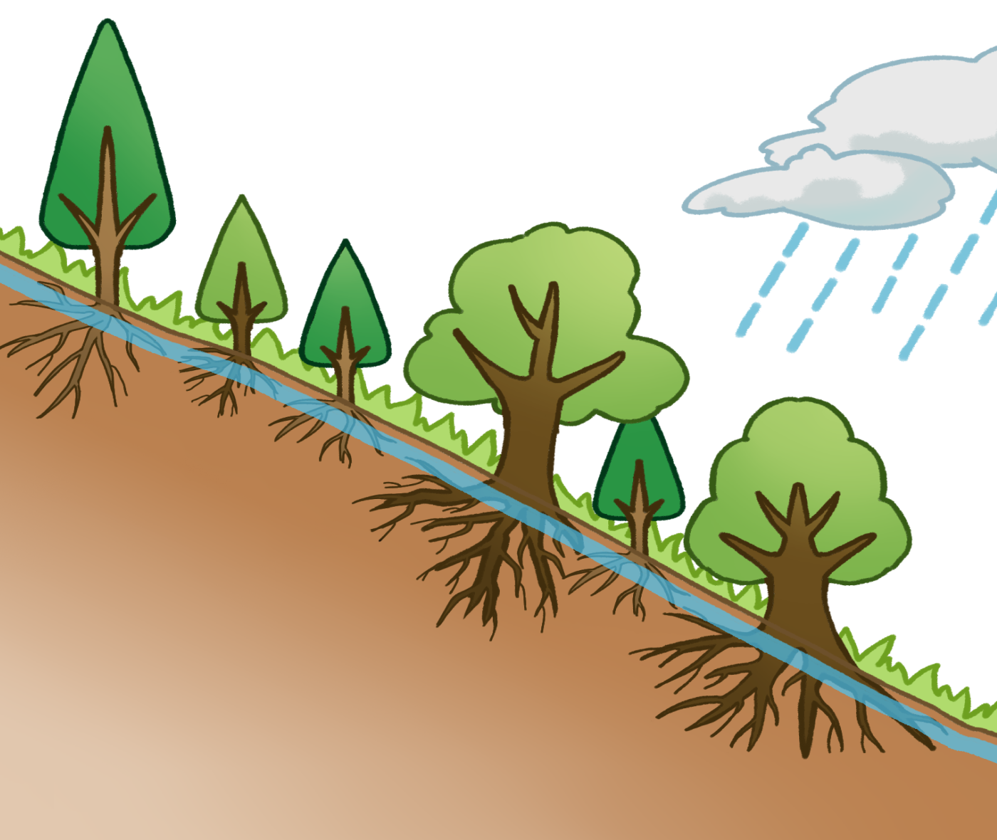 水道水源林のイラスト