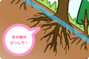 水道水源林の働き１のイラスト