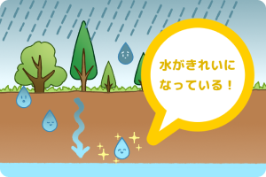 水道水源林の働き３のイラスト
